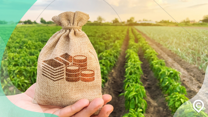 5 pequenos negócios rurais lucrativos