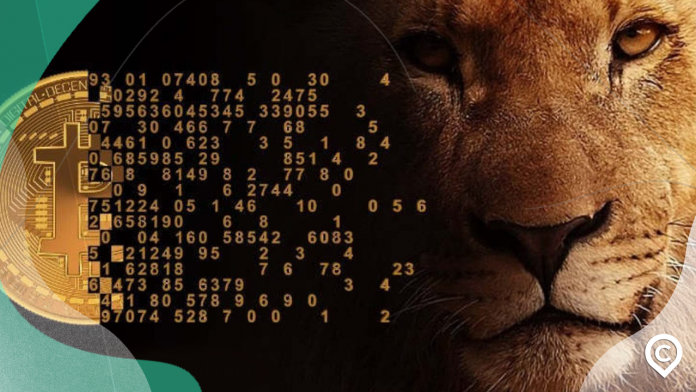 como declarar criptomoedas ao leão